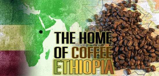 the home of coffee: ethiopia